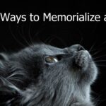 Ways to Memorialize a Pet